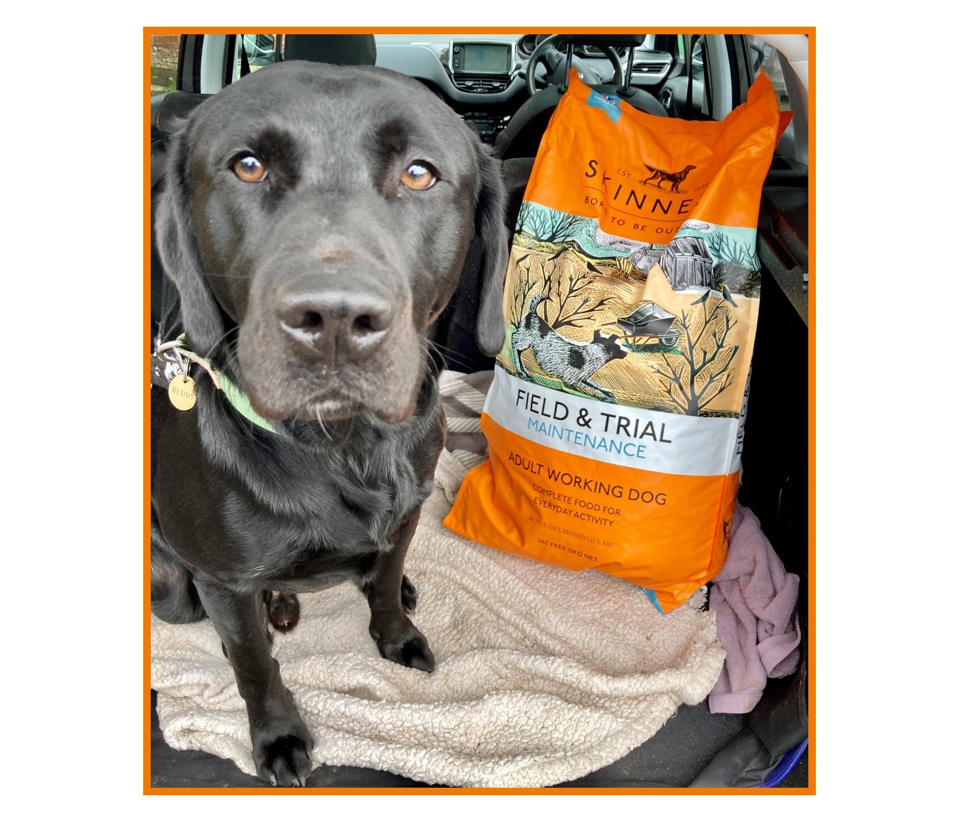 Skinner's - Field & Trial Maintenance - *VAT Free* - Buy Online SPR Centre UK