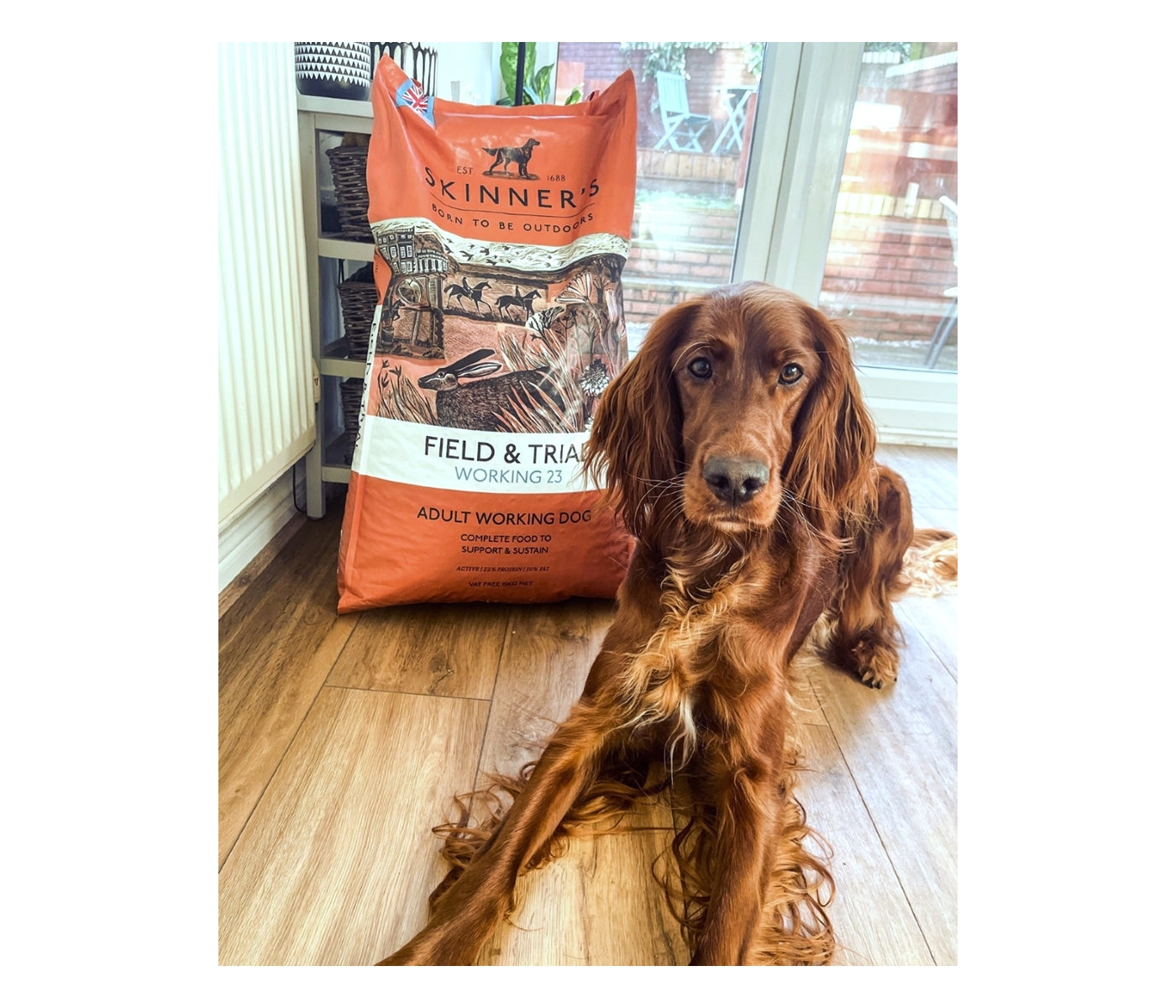 Skinner's - Field & Trial Working 23 *VAT Free* - Buy Online SPR Centre UK