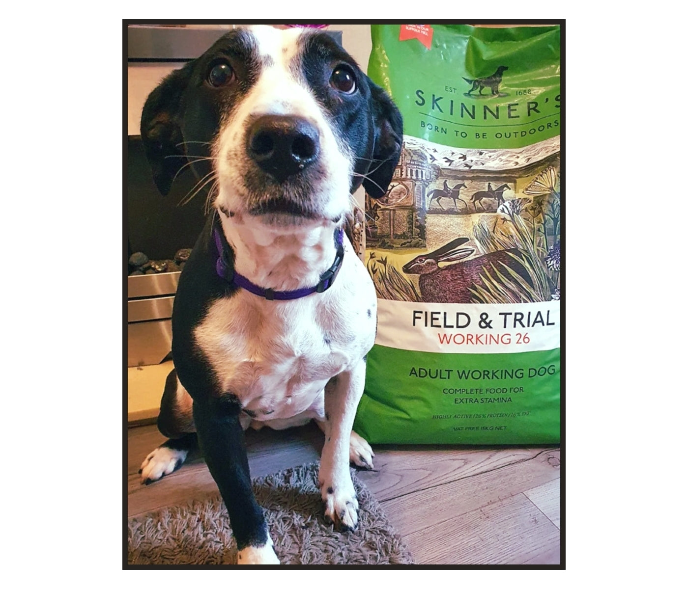 Skinner's - Field & Trial Working 26 - *VAT Free* - Buy Online SPR Centre UK