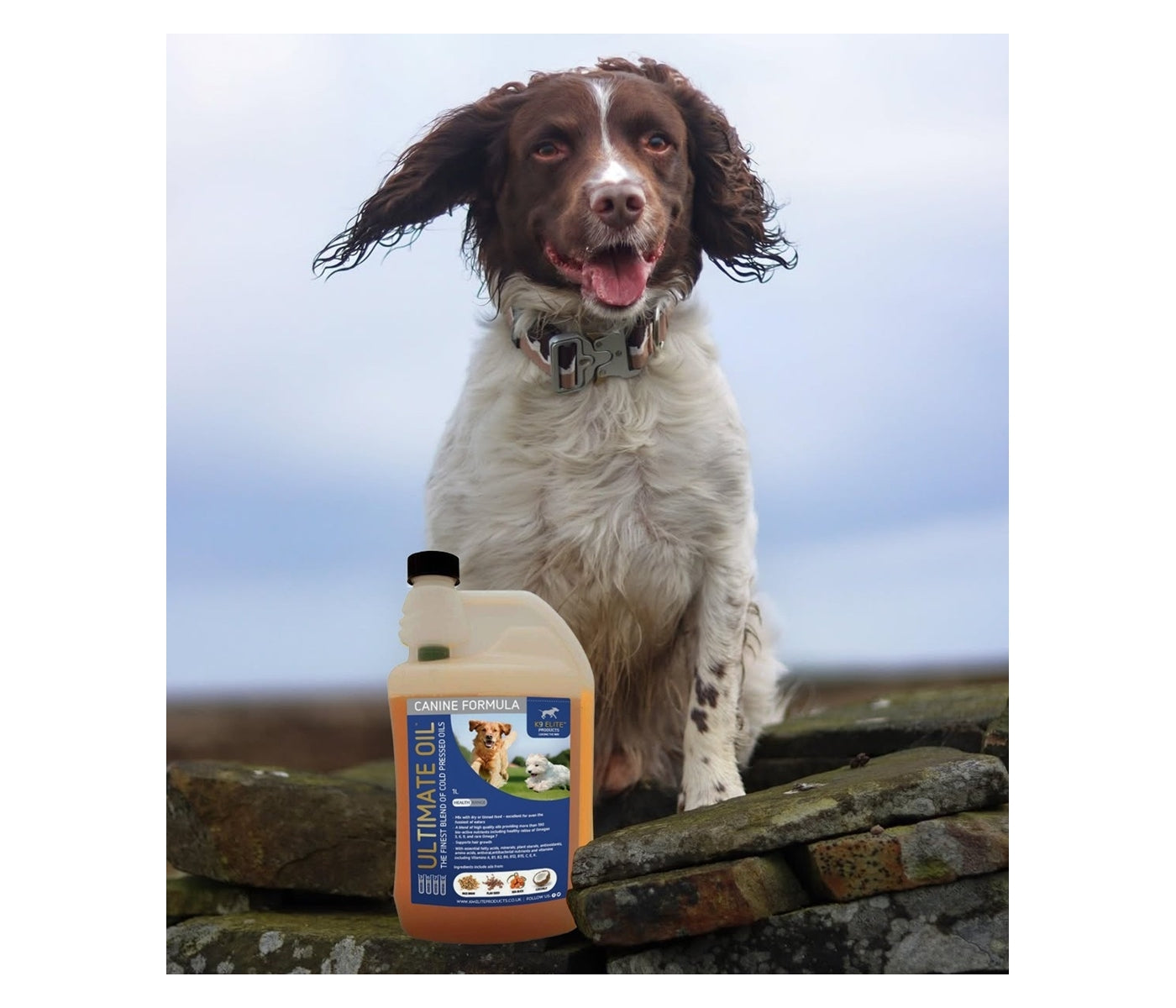 KM Elite - Canine Ultimate Oil - 500ml - Buy Online SPR Centre UK