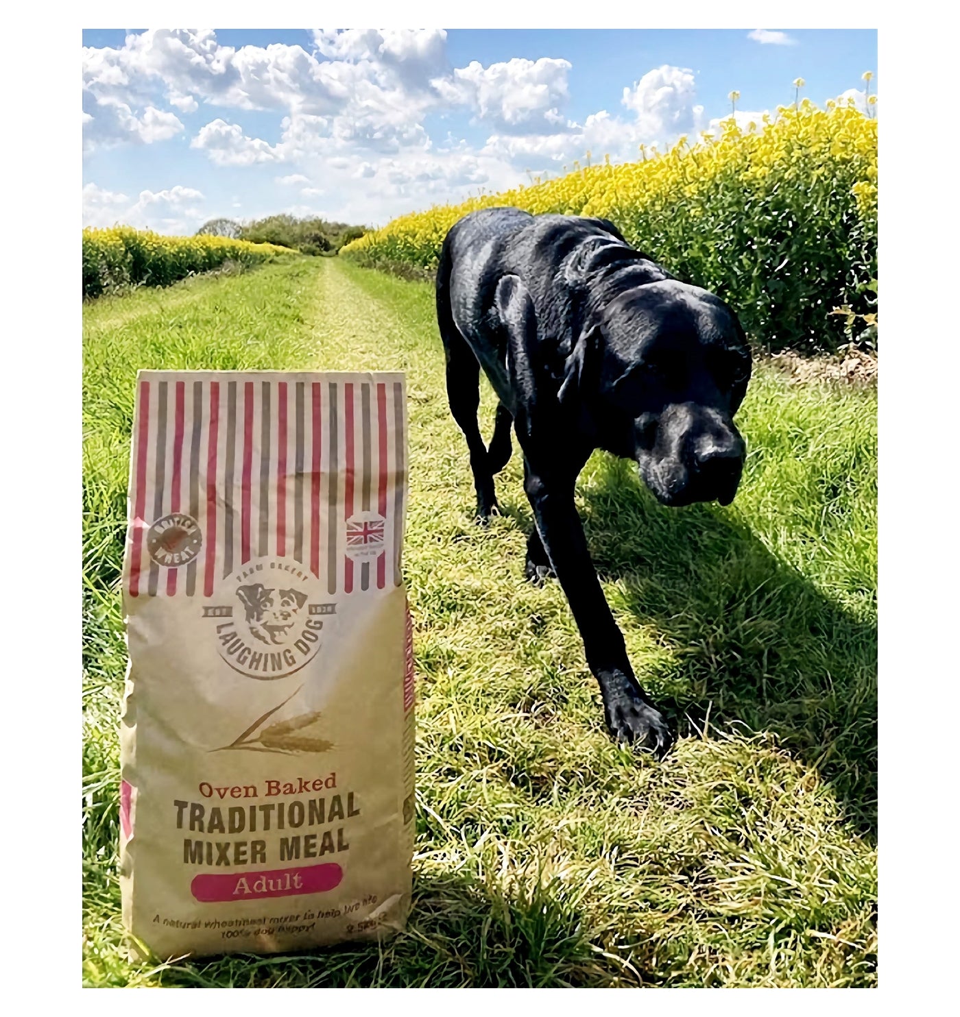 Laughing Dog Traditional Mixer Meal for Adult Dogs - Buy Online SPR Centre UK