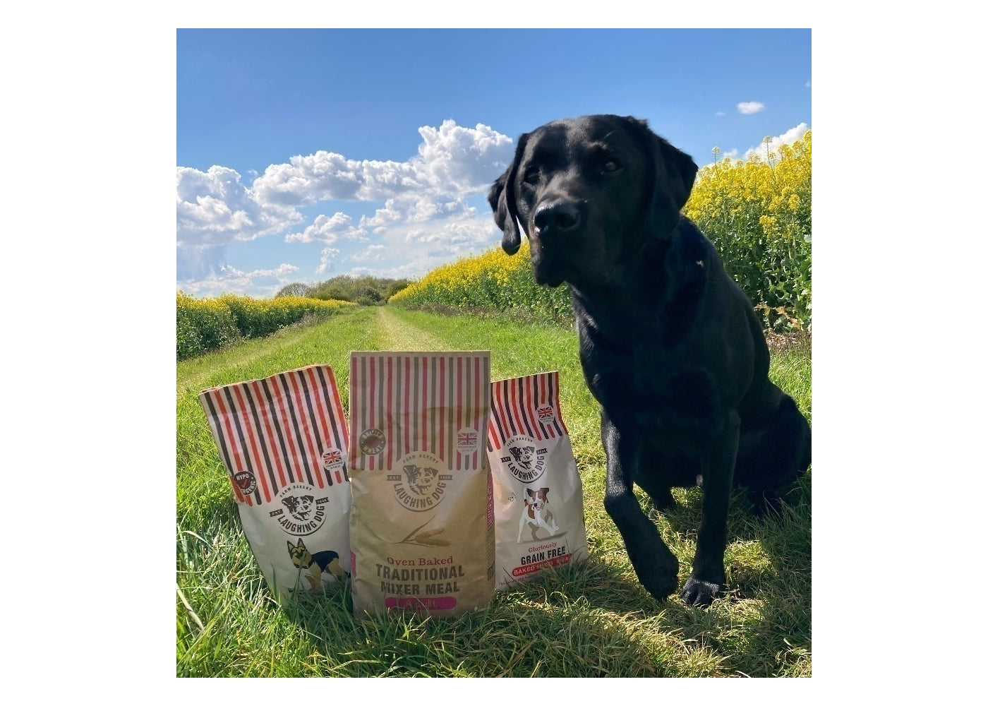 Laughing Dog - Wheat Free Baked Mixer Meal - Buy Online SPR Centre UK