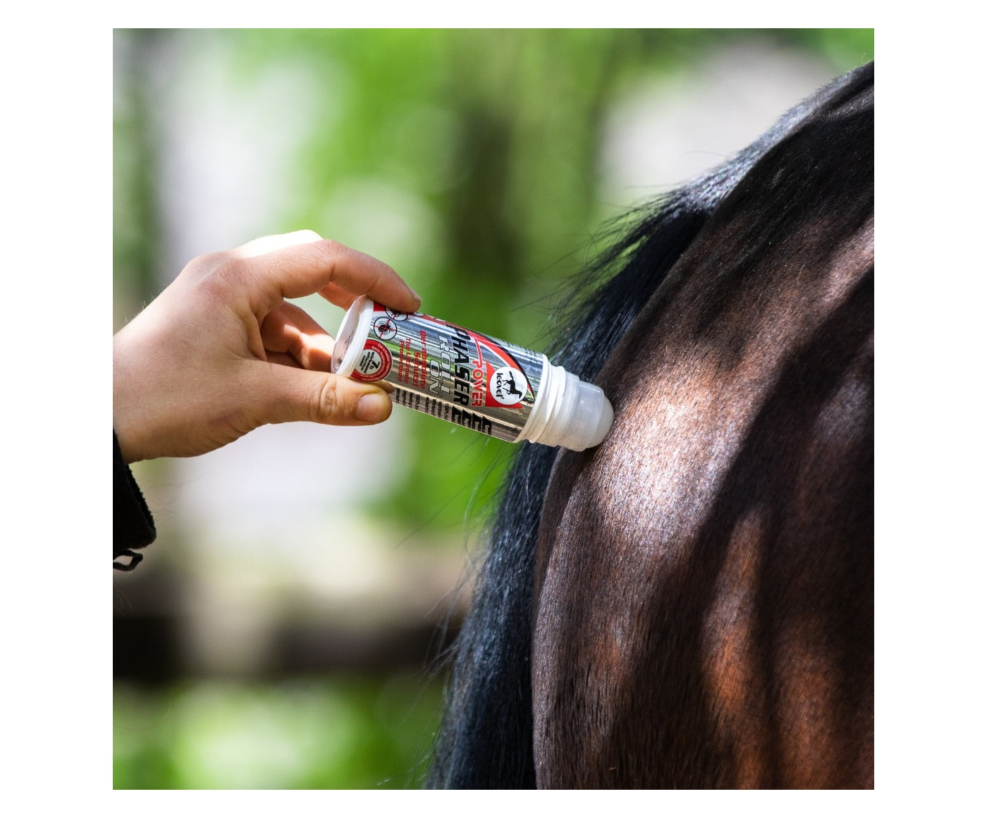Leovet Power Phaser Roll On 75ml