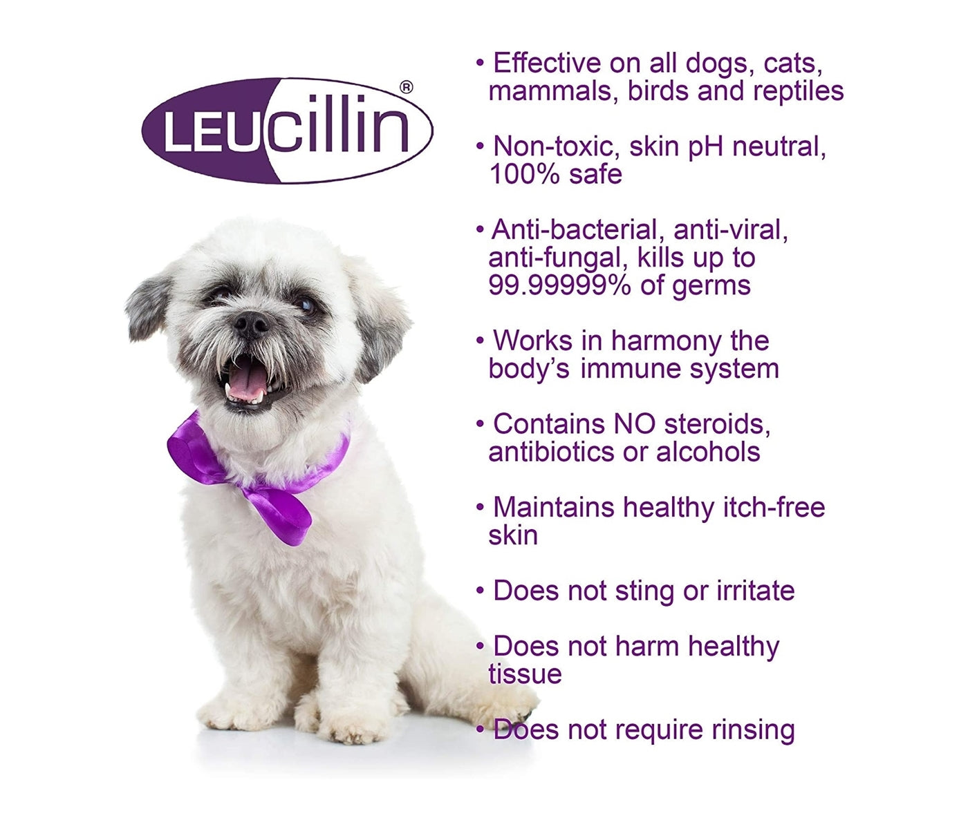 Leucillin - Antiseptic Skin Care for Animals - Buy Online SPR Centre UK