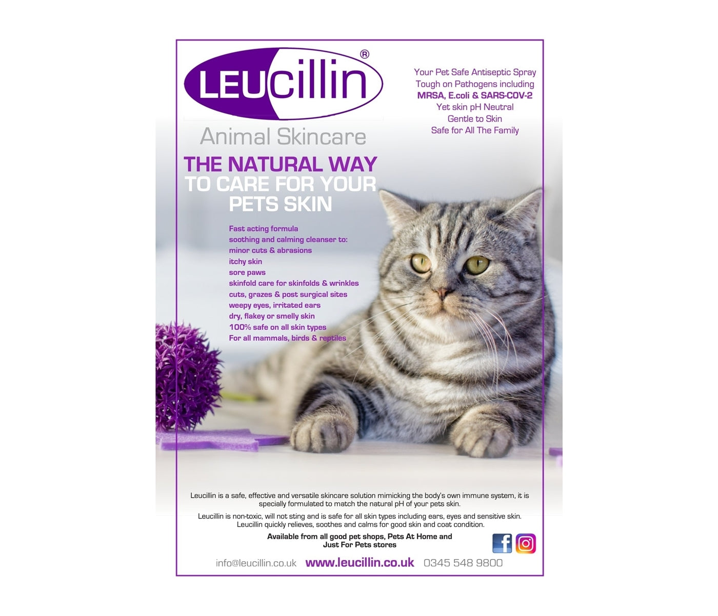 Leucillin - Antiseptic Skin Care for Animals - Buy Online SPR Centre UK