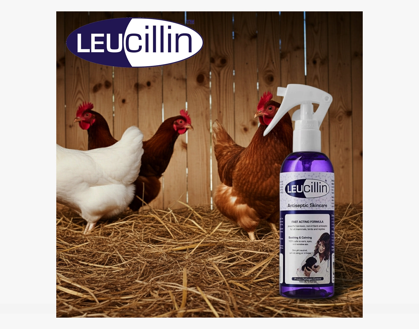 Leucillin - Antiseptic Skin Care for Animals - Buy Online SPR Centre UK