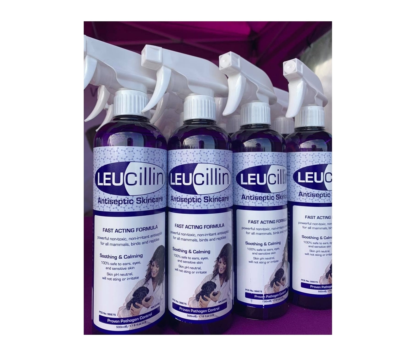 Leucillin - Antiseptic Skin Care for Animals - Buy Online SPR Centre UK