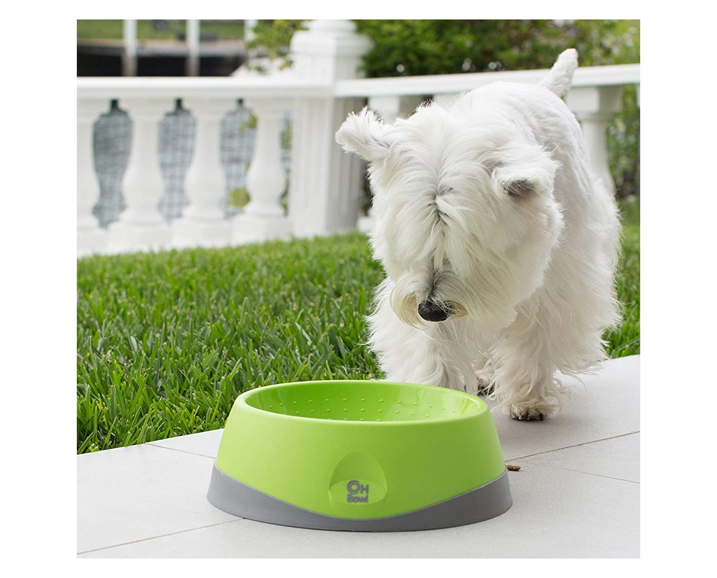 LickiMat - OH Bowl (Green) Small - Buy Online SPR Centre UK