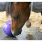 Likit Snak-a-Ball (Purple/Lilac) | Horse Treat Toy - Buy Online SPR Centre UK