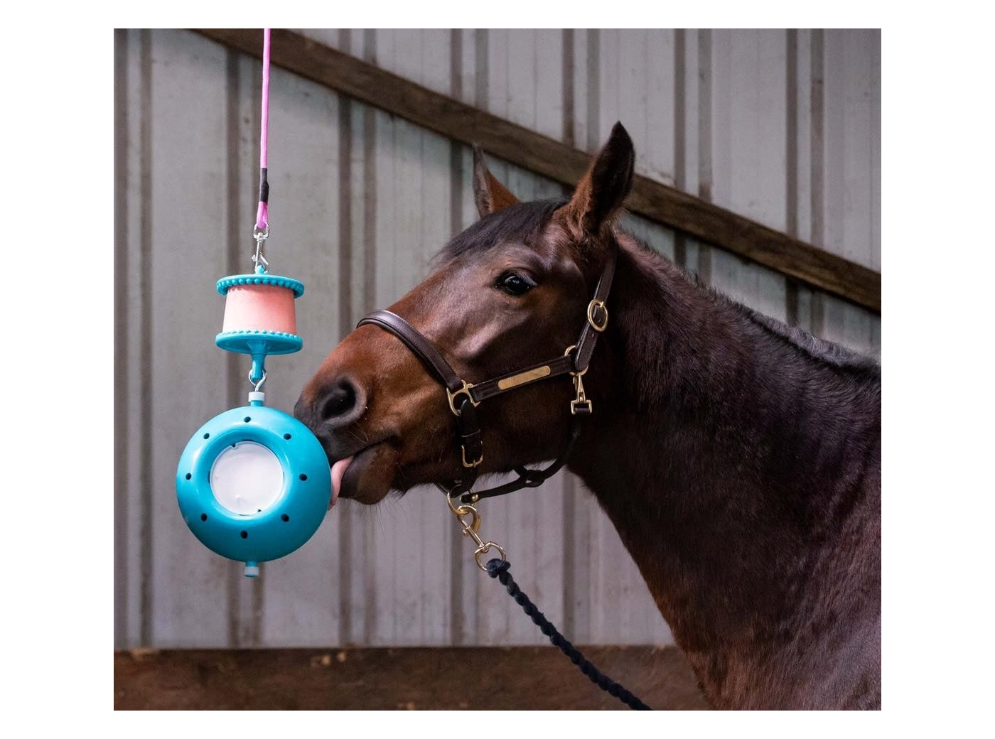 Likit - Banana Flavour Horse Treat - Buy Online SPR Centre UK