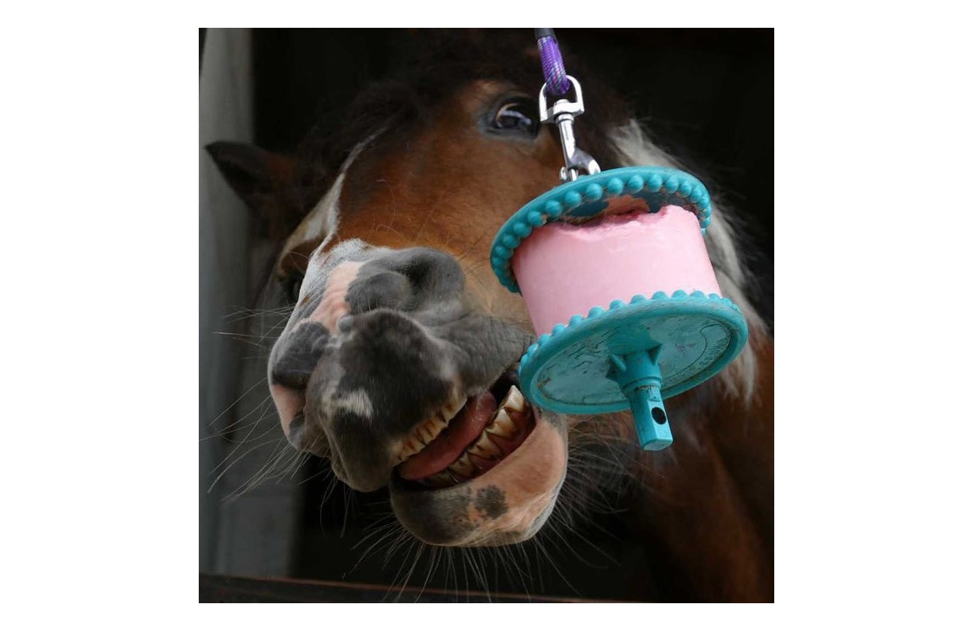 Likit - Banana Flavour Horse Treat - Buy Online SPR Centre UK