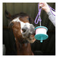Likit - Banana Flavour Horse Treat - Buy Online SPR Centre UK