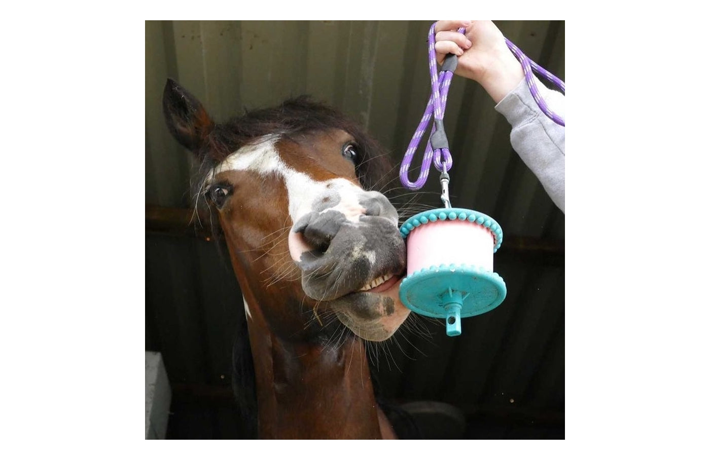 Likit - Banana Flavour Horse Treat - Buy Online SPR Centre UK