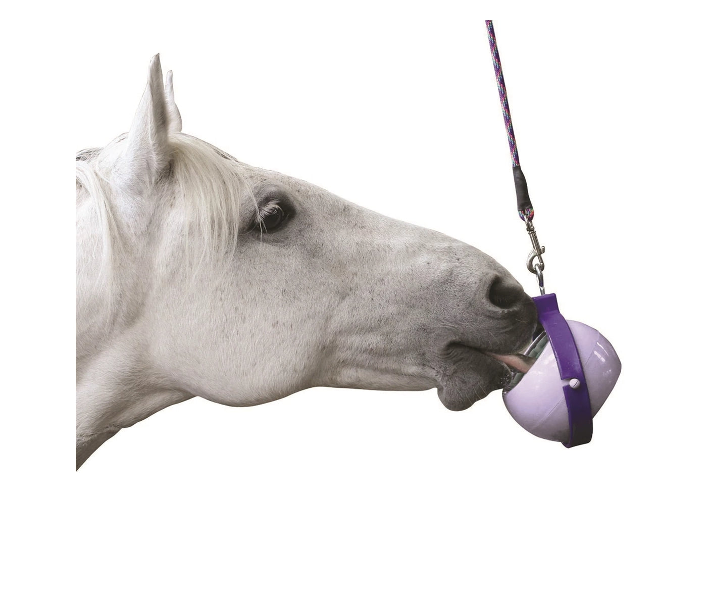 Likit - Boredom Buster | Horse Treat Toy - Buy Online SPR Centre UK