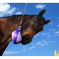 Likit - Boredom Buster | Horse Treat Toy - Buy Online SPR Centre UK