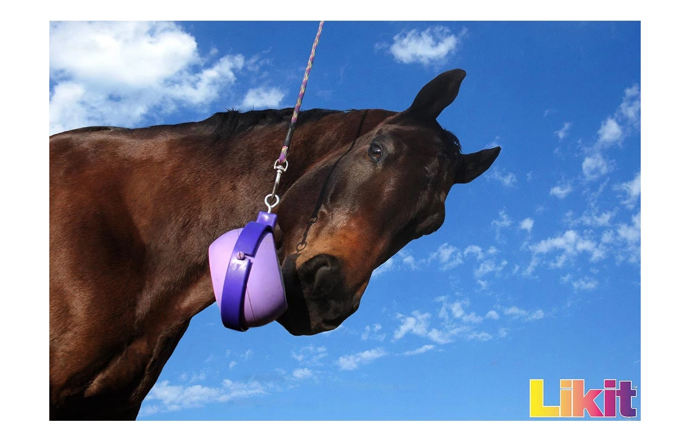 Likit - Boredom Buster | Horse Treat Toy - Buy Online SPR Centre UK