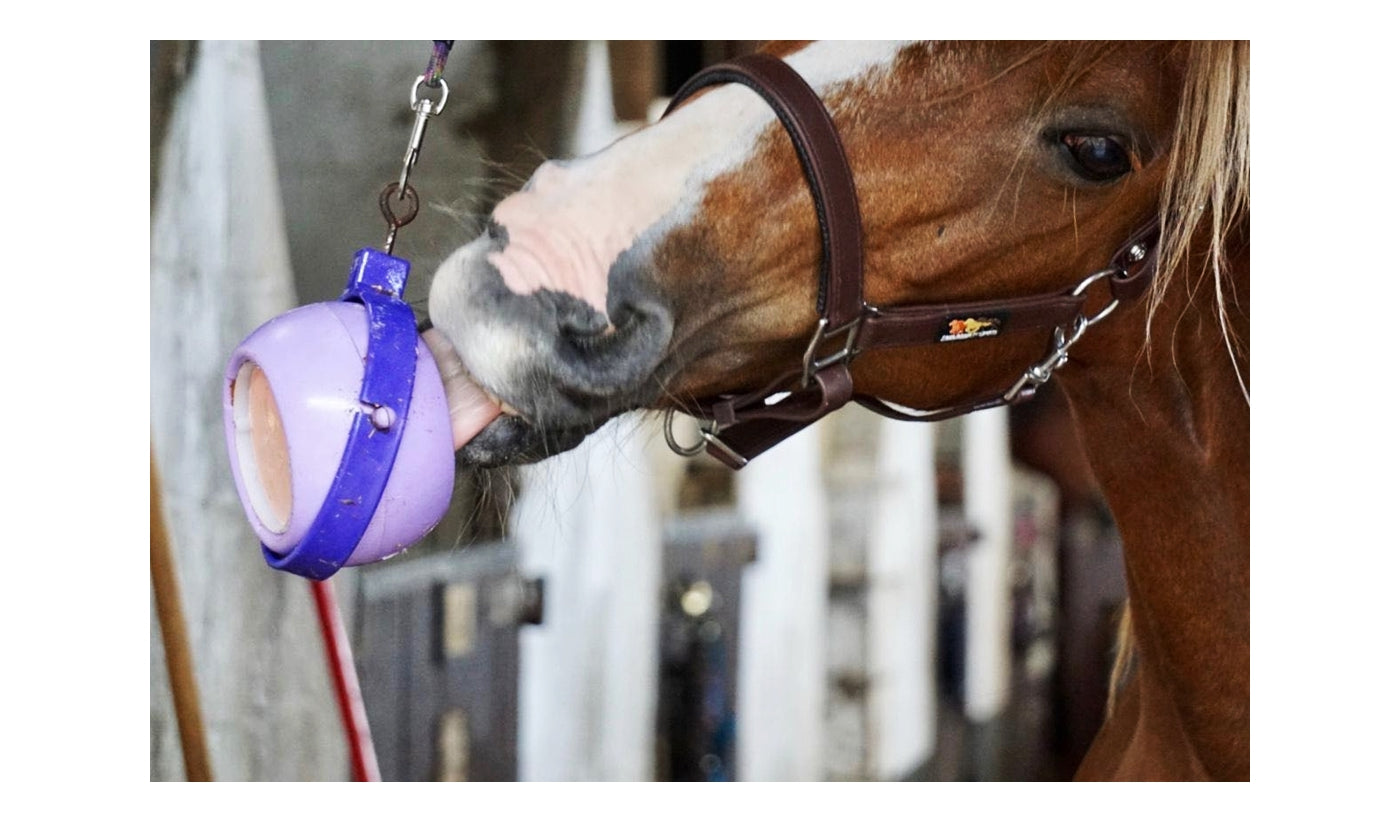 Likit - Boredom Buster | Horse Treat Toy - Buy Online SPR Centre UK