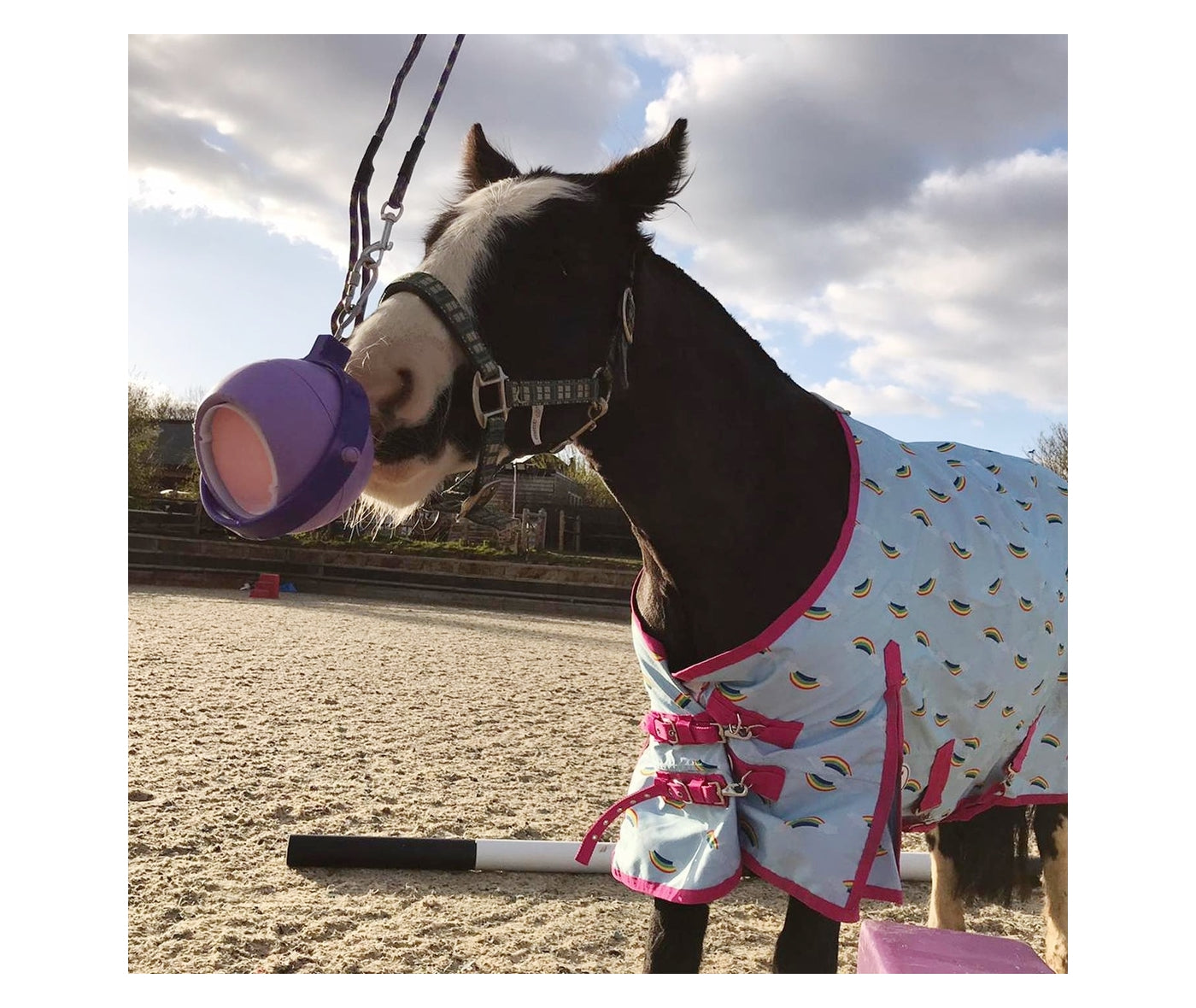 Likit - Boredom Buster | Horse Treat Toy - Buy Online SPR Centre UK