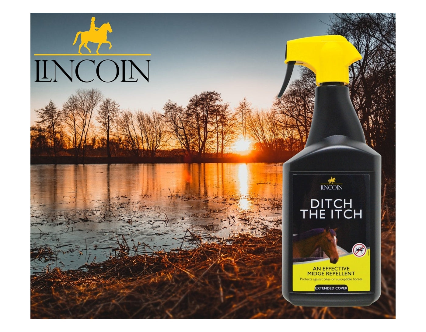 Lincoln - Ditch The Itch | Horse Care - Buy Online SPR Centre UK