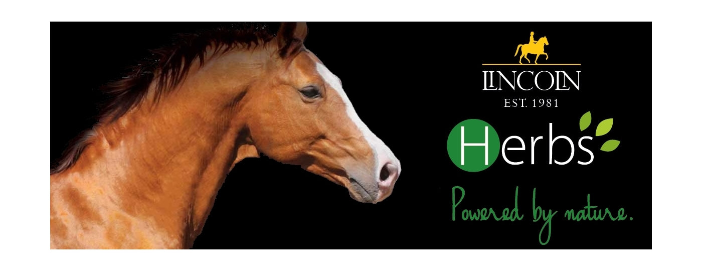 Lincoln Herbs Valerian Cordial | Horse Care - Buy Online SPR Centre UK