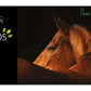 Lincoln Herbs Valerian Cordial | Horse Care - Buy Online SPR Centre UK