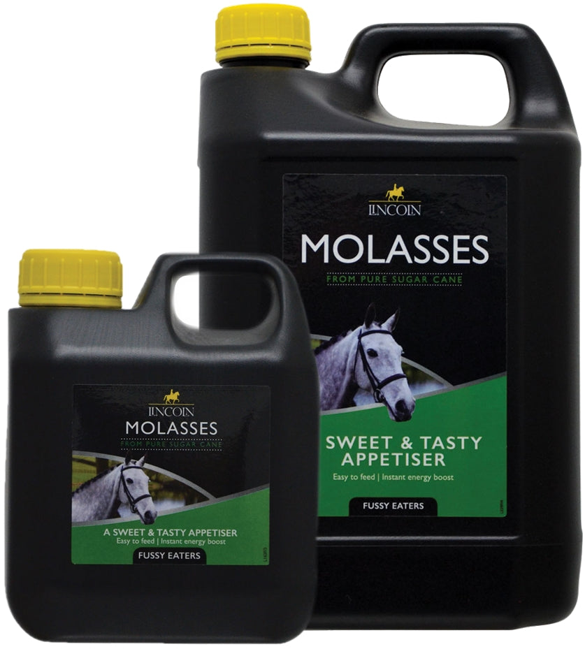 Lincoln - Molasses | Horse Care Supplement - Buy Online SPR Centre UK