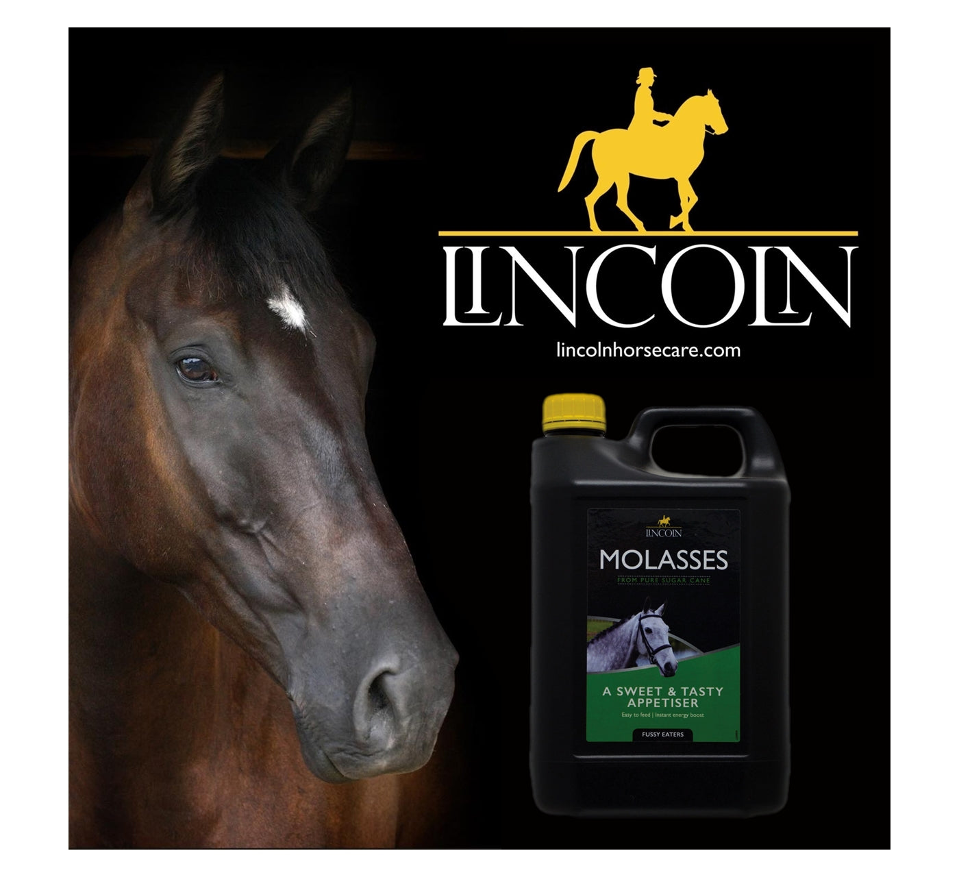 Lincoln - Molasses | Horse Care Supplement - Buy Online SPR Centre UK