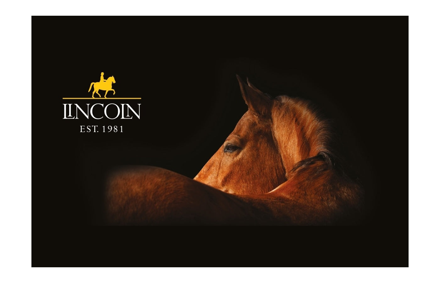 Lincoln - Molasses | Horse Care Supplement - Buy Online SPR Centre UK