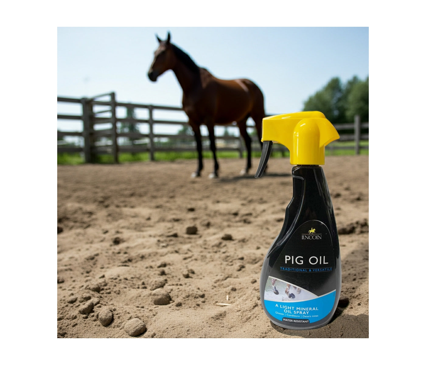 Lincoln - Pig Oil Spray | Animal Care - Buy Online SPR Centre UK