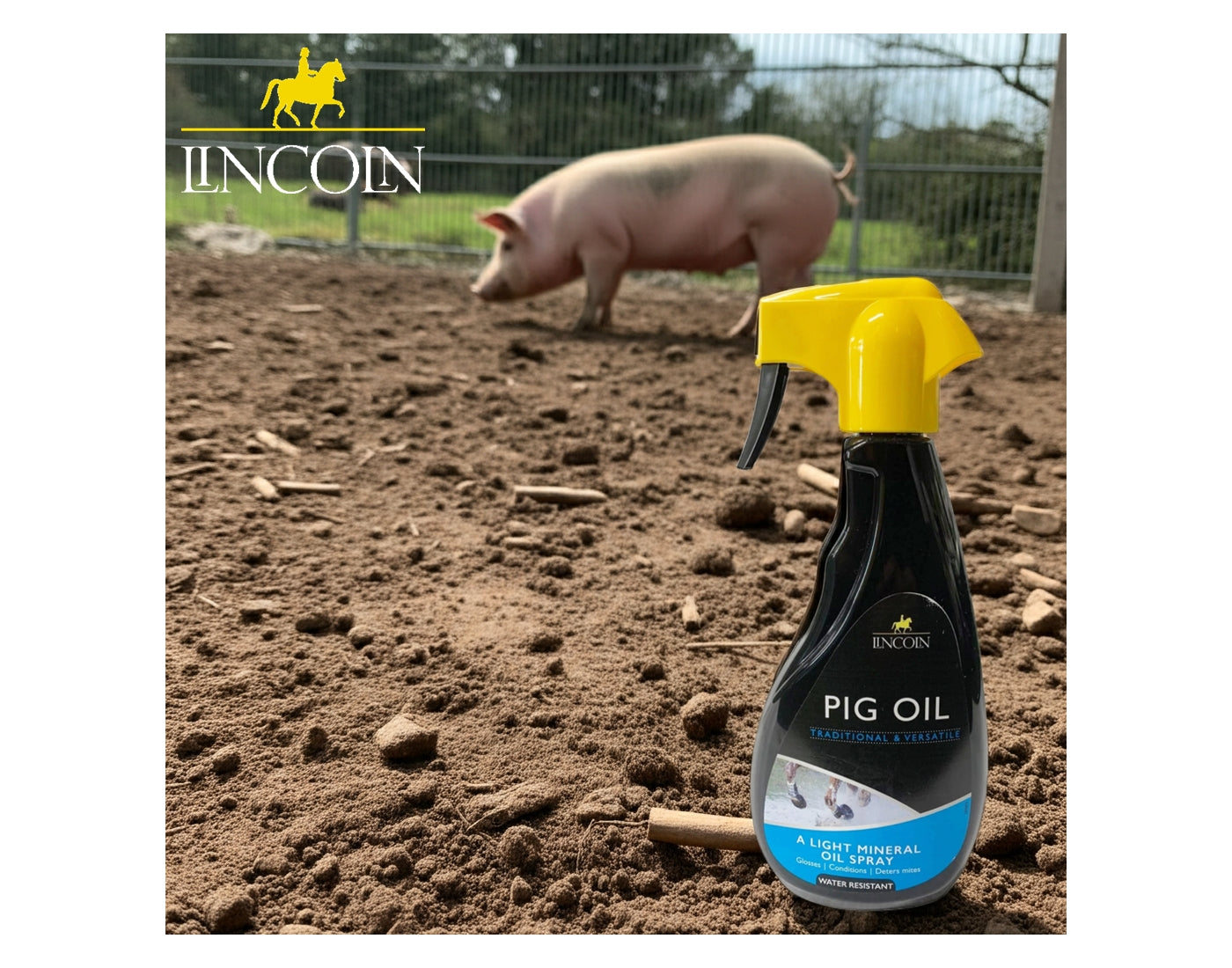 Lincoln - Pig Oil Spray | Animal Care - Buy Online SPR Centre UK