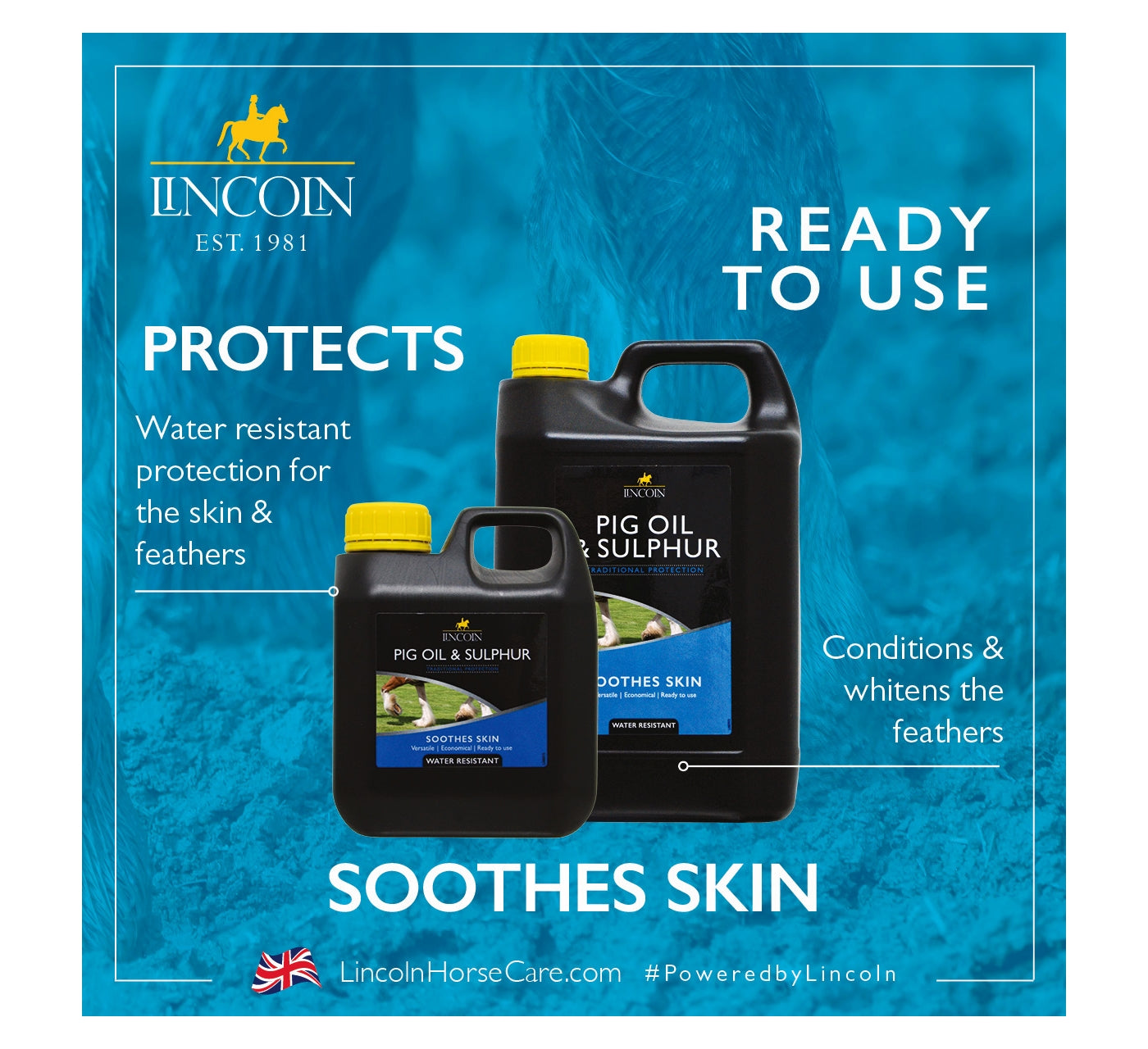 Lincoln - Pig Oil & Sulphur | Horse Care - Buy Online SPR Centre UK