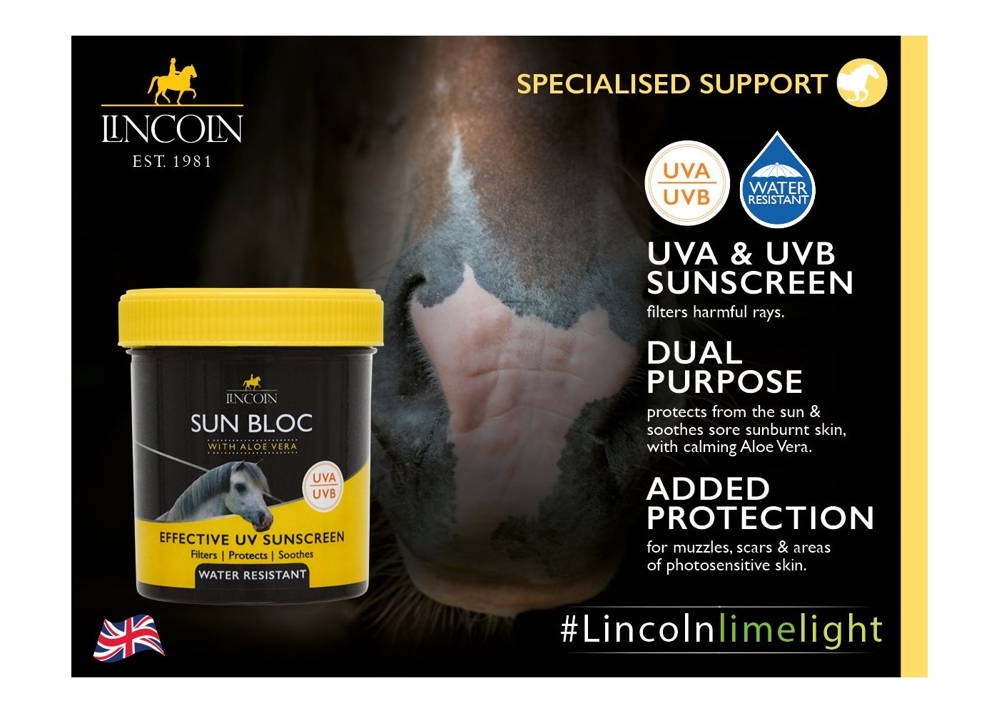 Lincoln - Sun Bloc | Horse Skin Care - Buy Online SPR Centre UK