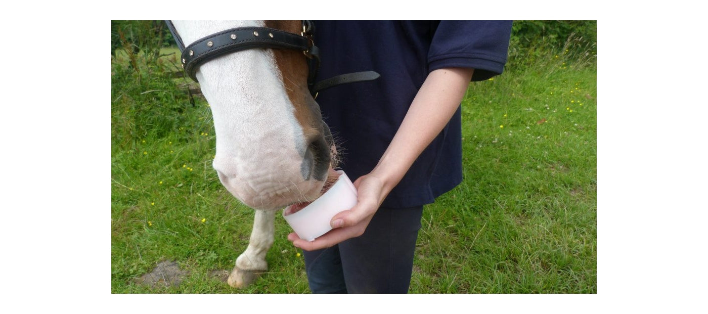 Little Likit - Cherry Flavour Horse Treat - Buy Online SPR Centre UK