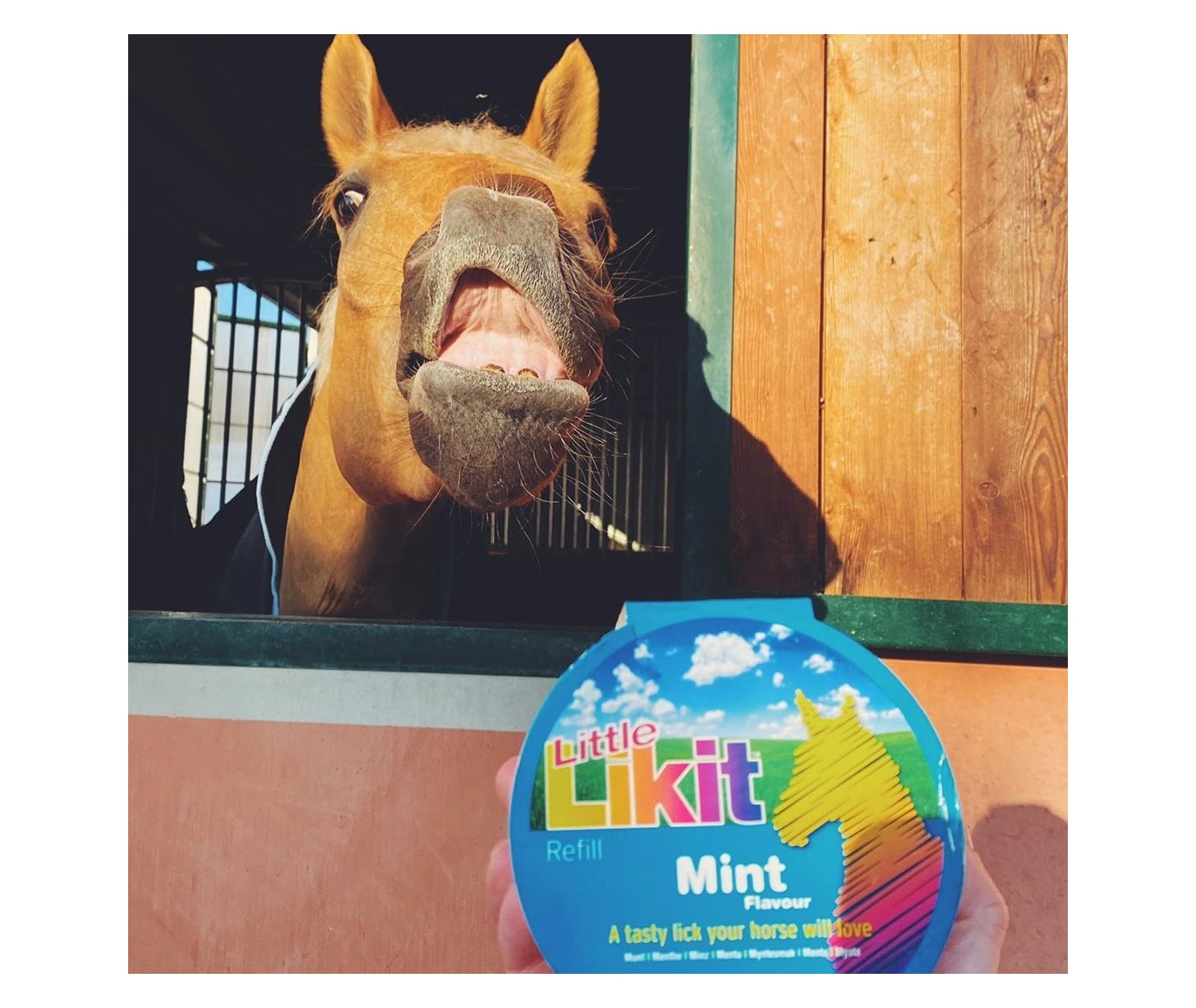 Little Likit - Mint Flavour Horse Treat - Buy Online SPR Centre UK