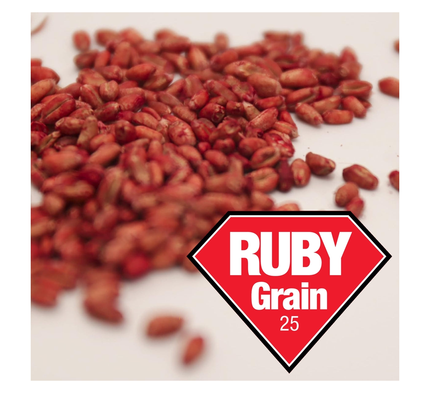 Lodi - Ruby Grain 25 Rat & Mouse Killer - 150g Pouch (6 x 25g Sachets) - Buy Online SPR centre UK