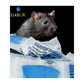 Lodi Sapphire Paste Rat & Mouse Killer - 150g pouch (15 x 10g sachets) - Buy Online SPR Centre UK