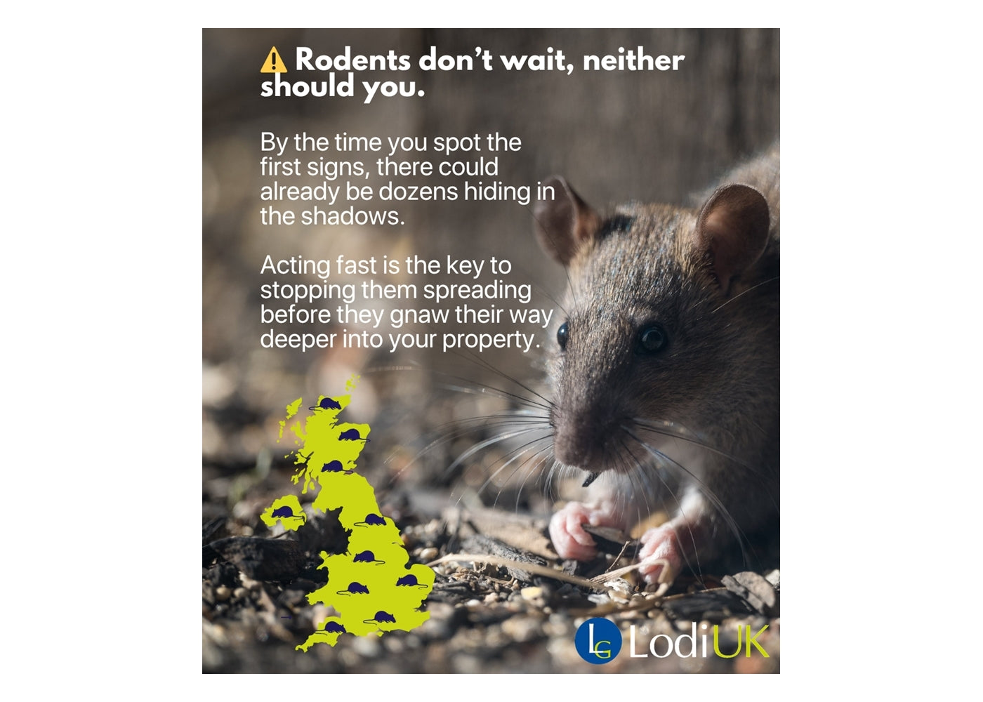 Lodi Sapphire Paste Rat & Mouse Killer - 150g pouch (15 x 10g sachets) - Buy Online SPR Centre UK