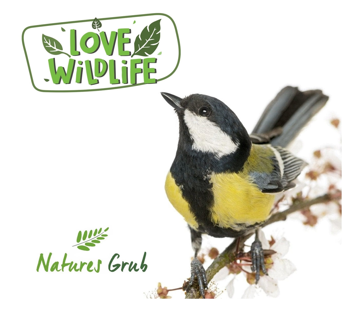 Love Wildlife - Peanut Butter Whole Coconut | Wild Bird Care - Buy Online SPR centre UK
