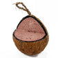 Love Wildlife - Fruit & Berry Whole Coconut | Wild Bird Care - Buy Online SPR Centre UK