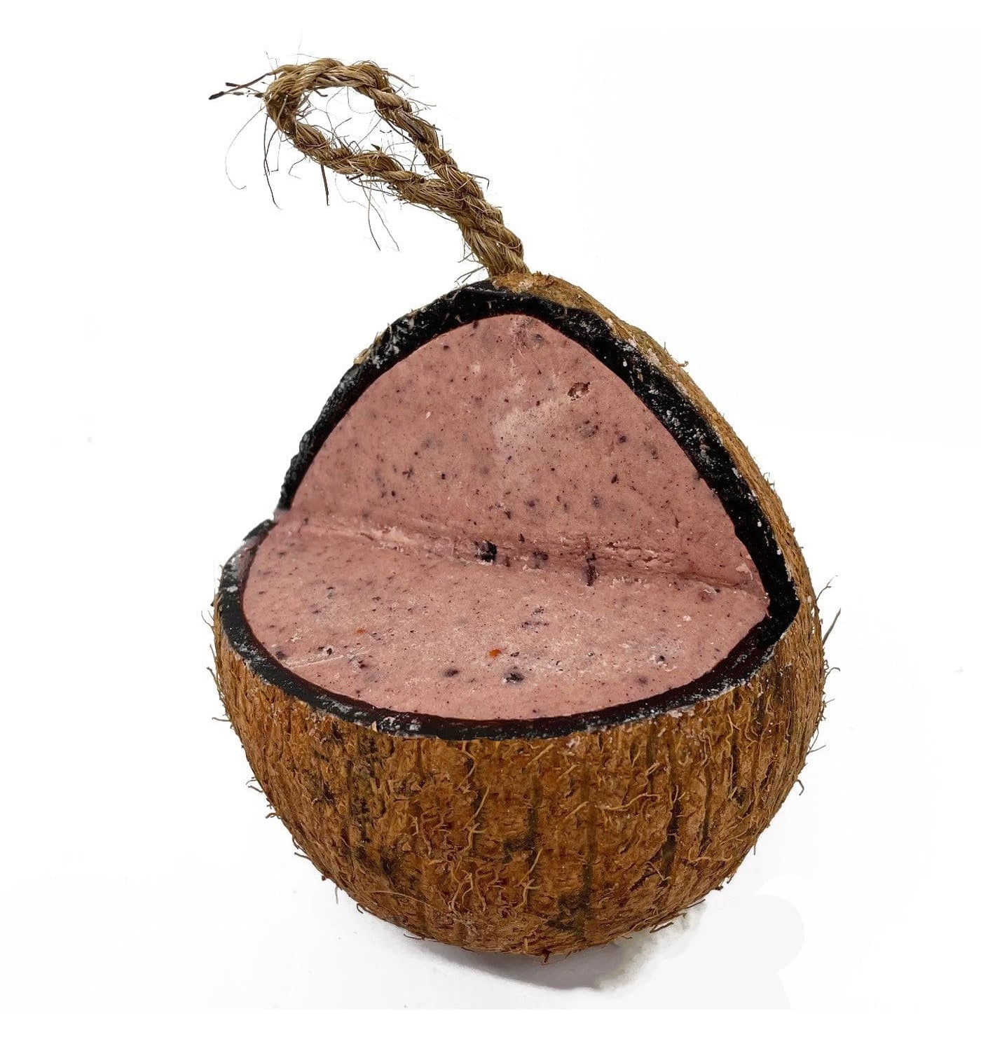 Love Wildlife - Fruit & Berry Whole Coconut | Wild Bird Care - Buy Online SPR Centre UK