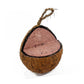 Love Wildlife - Fruit & Berry Whole Coconut | Wild Bird Care - Buy Online SPR Centre UK
