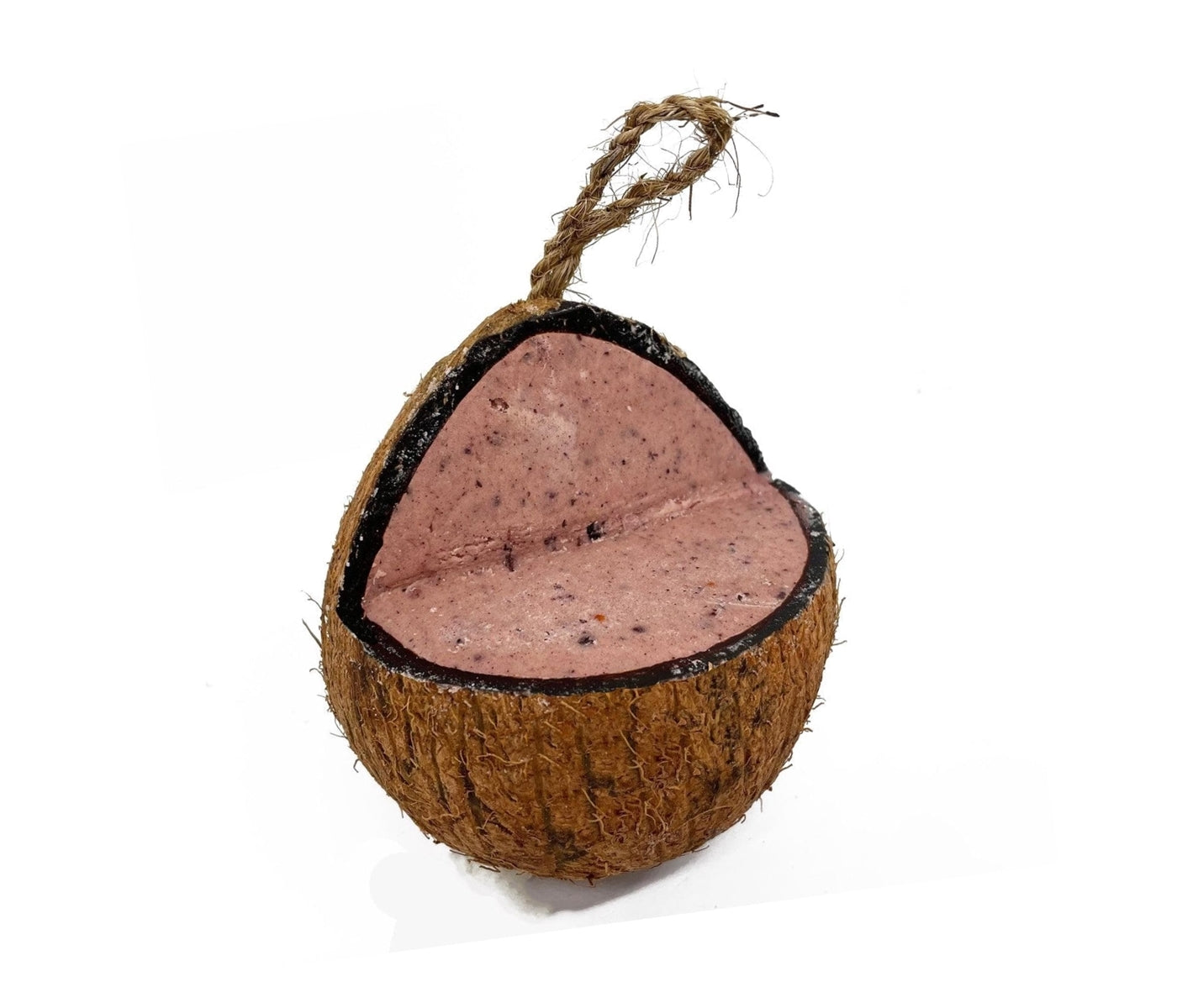 Love Wildlife - Fruit & Berry Whole Coconut | Wild Bird Care - Buy Online SPR Centre UK