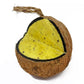 Love Wildlife - Fruit & Berry Whole Coconut | Wild Bird Care - Buy Online SPR Centre UK
