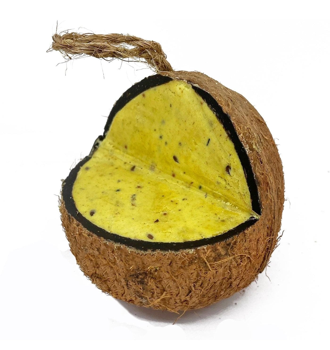 Love Wildlife - Fruit & Berry Whole Coconut | Wild Bird Care - Buy Online SPR Centre UK