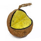 Love Wildlife - Fruit & Berry Whole Coconut | Wild Bird Care - Buy Online SPR Centre UK