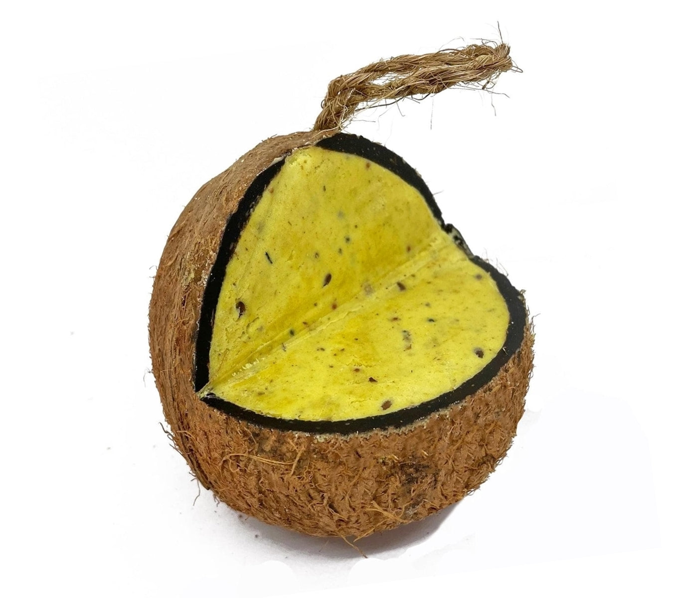 Love Wildlife - Fruit & Berry Whole Coconut | Wild Bird Care - Buy Online SPR Centre UK