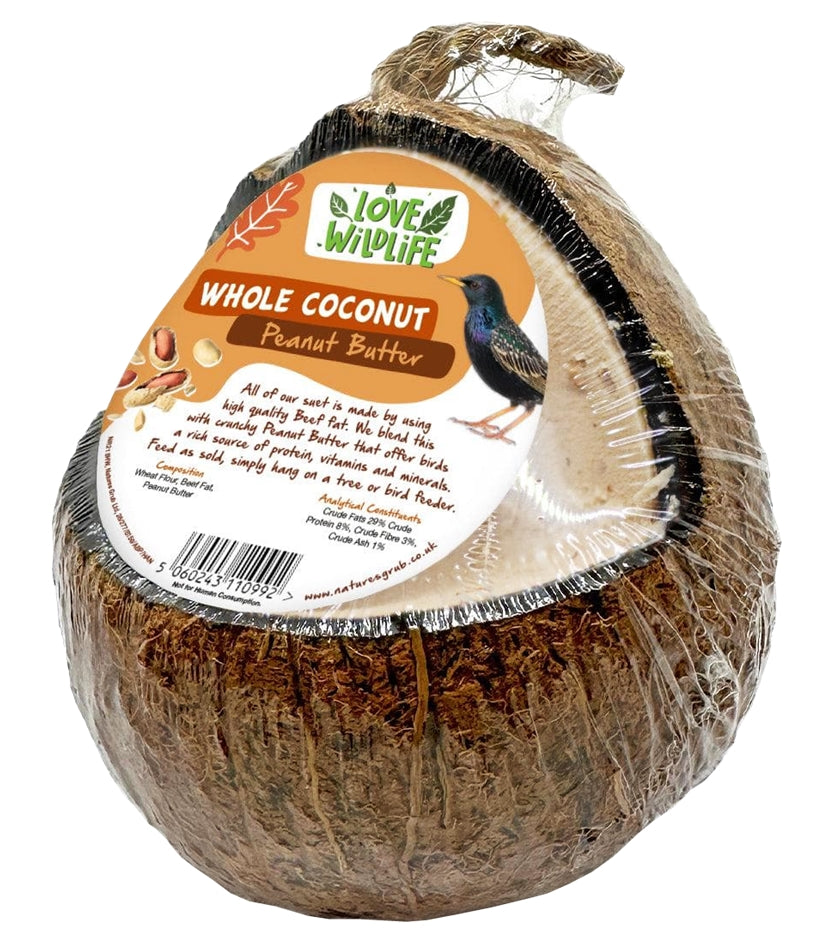Love Wildlife - Peanut Butter Whole Coconut | Wild Bird Care - Buy Online SPR centre UK
