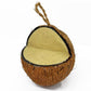Love Wildlife - Peanut Butter Whole Coconut | Wild Bird Care - Buy Online SPR centre UK