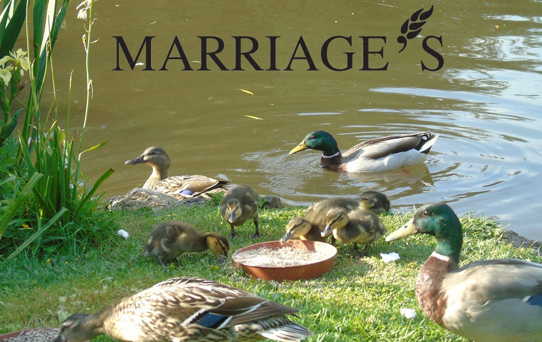 Marriage's - Duck & Goose Grower Pellets - 20kg