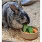 Mason Cash - Cane Lettered Rabbit Bowl 13cm - Buy Online SPR Centre UK
